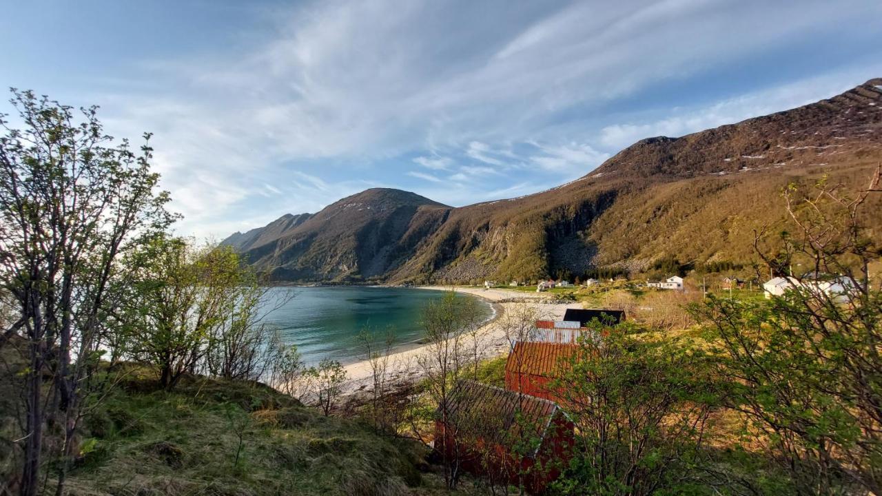 Holiday Home On Senja Senjahopen ภายนอก รูปภาพ