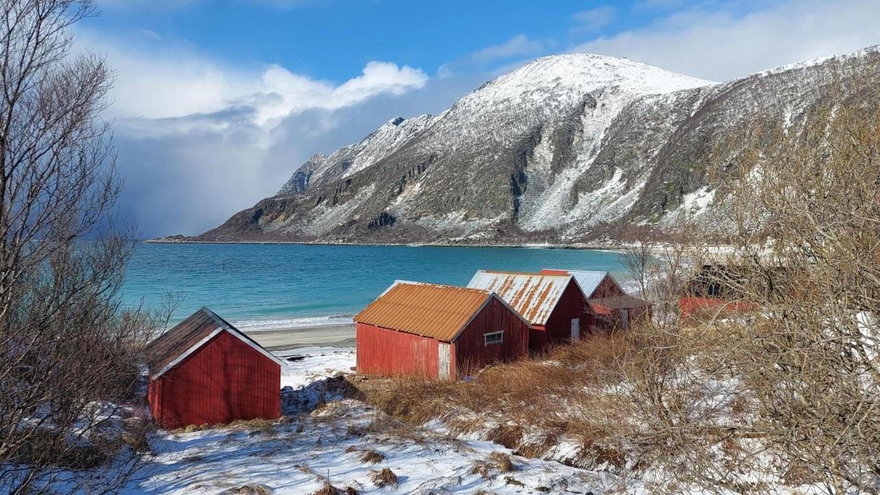 Holiday Home On Senja Senjahopen ภายนอก รูปภาพ