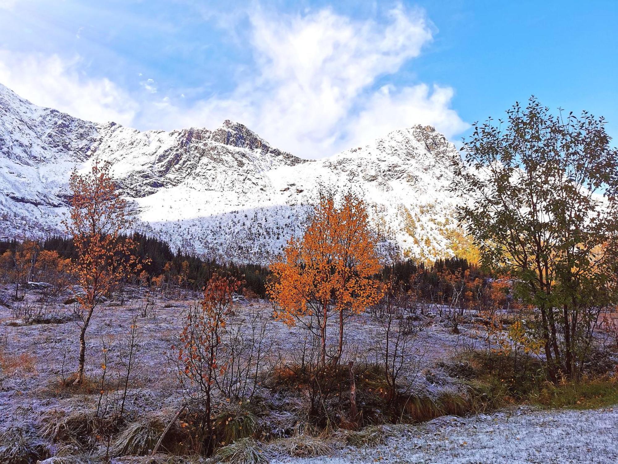 Holiday Home On Senja Senjahopen ภายนอก รูปภาพ